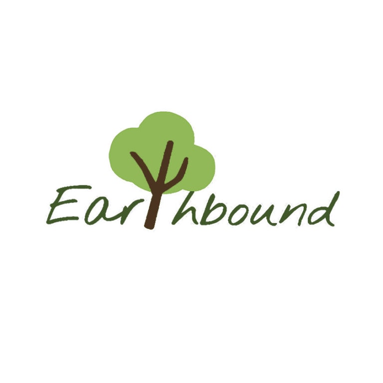 Earthbound Logo